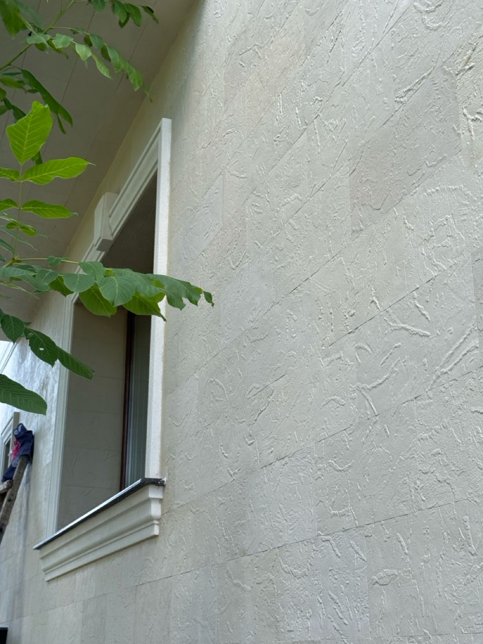 Corner of a window with a white surround, light flexible stone and leaves in the foreground